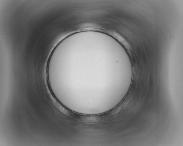 X0000111611431200908071322