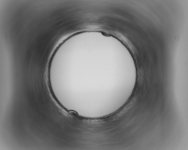 X0000111611432200908071322