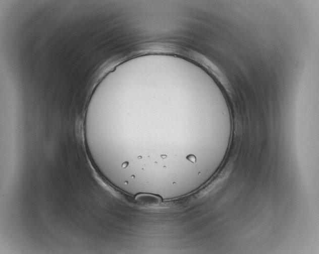 X0000111611433200908071322