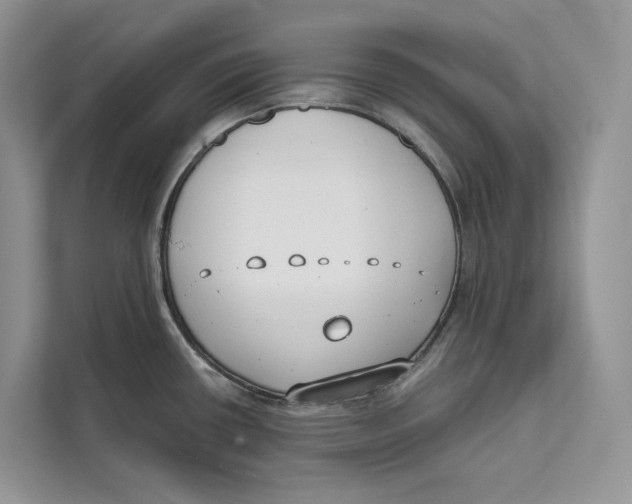 X0000111611434200908071322