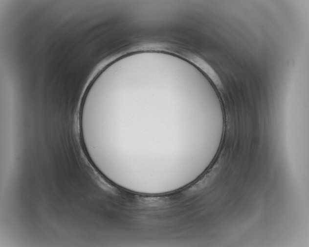 X0000111611436200908071322