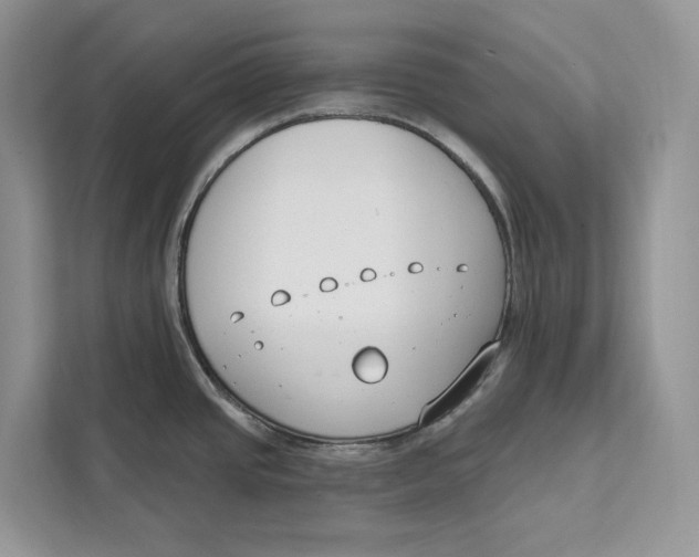 X0000111611437200908071322