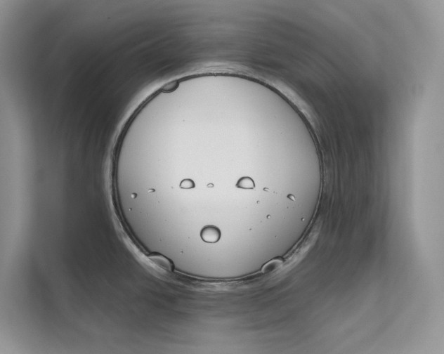 X0000111611438200908071322