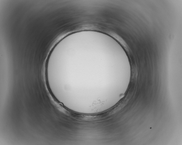 X0000111611439200908071322