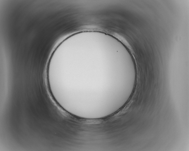 X0000111611440200908071322