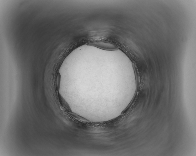 X0000111611441200908071321