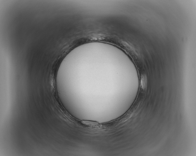 X0000111611444200908071321