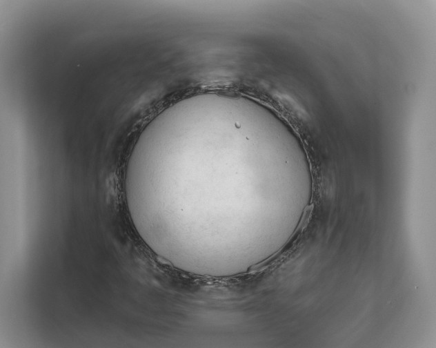 X0000111611445200908071321