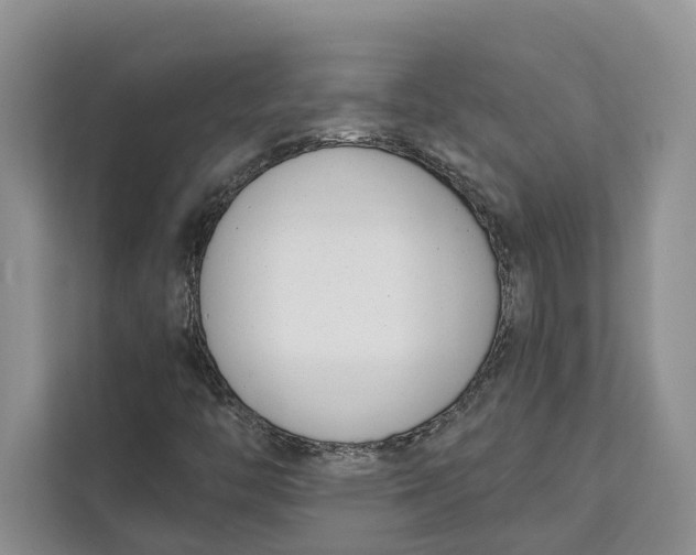 X0000111611446200908071321