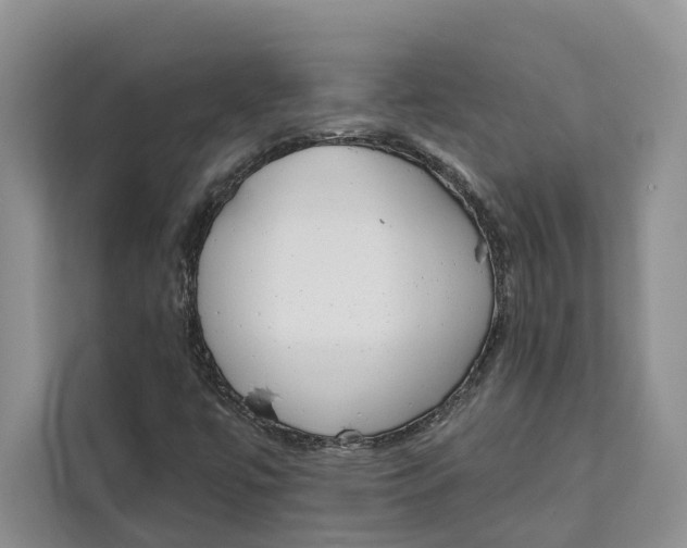 X0000111611447200908071321