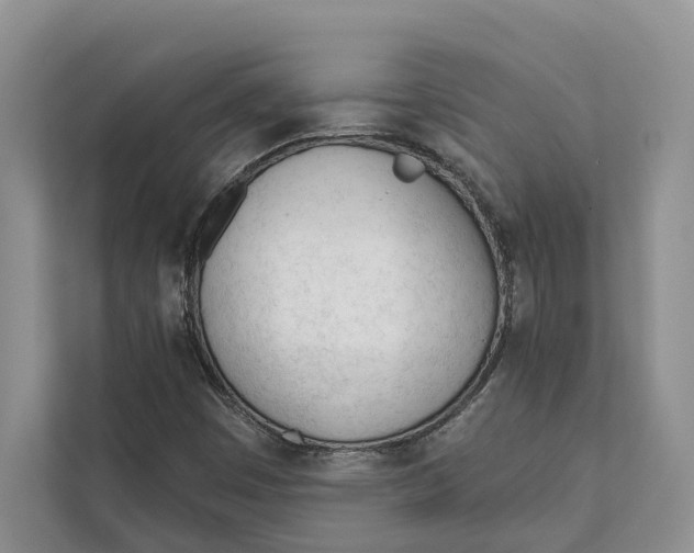 X0000111611449200908071321