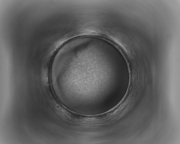 X0000111611455200908071321