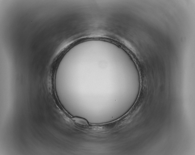 X0000111611456200908071321