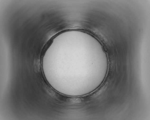 X0000111611457200908071321