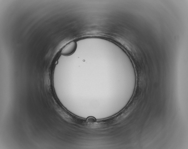 X0000111611458200908071321