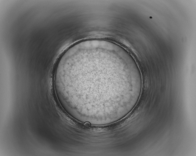 X0000111611459200908071321