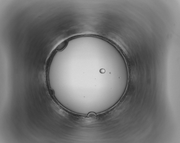 X0000111611460200908071321