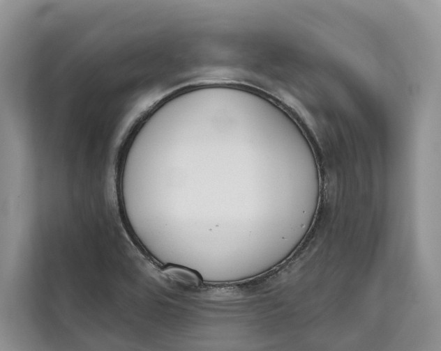 X0000111611464200908071321