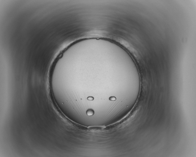 X0000111611469200908071321