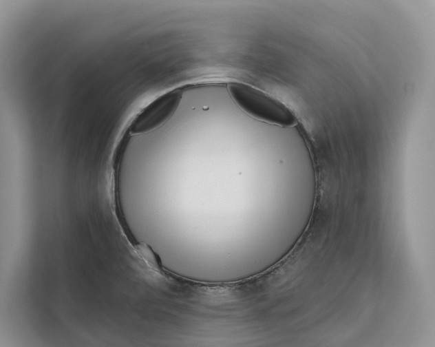 X0000111611472200908071321