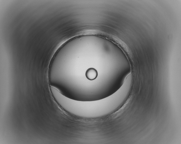 X0000111611473200908071321