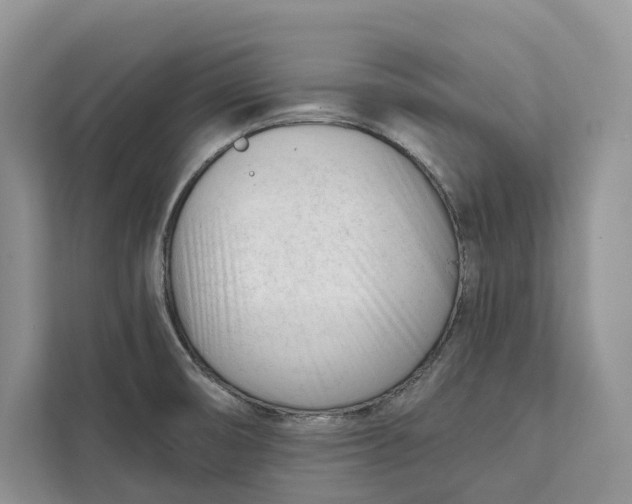 X0000111611474200908071321