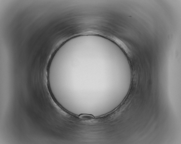 X0000111611476200908071321