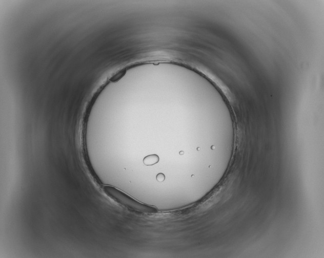 X0000111611477200908071321