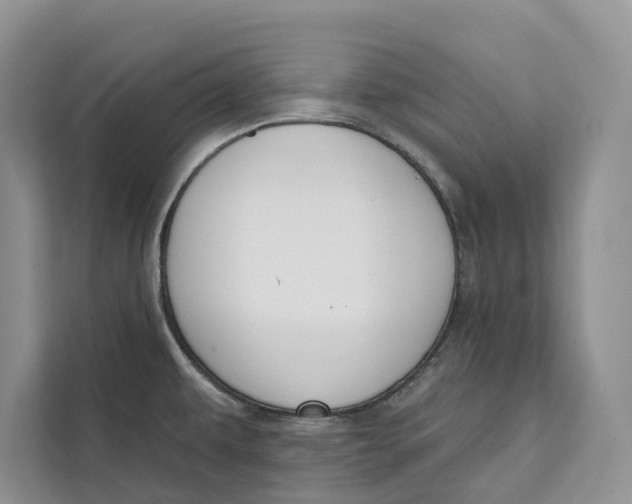 X0000111611479200908071321