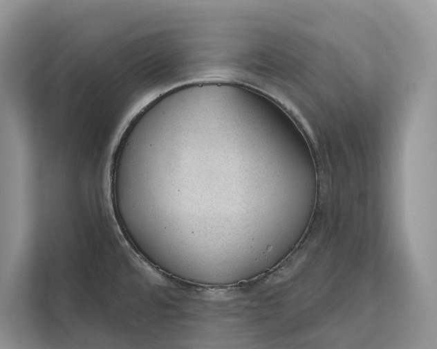 X0000111611480200908071321