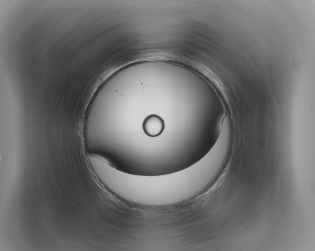 X0000111611481200908071321