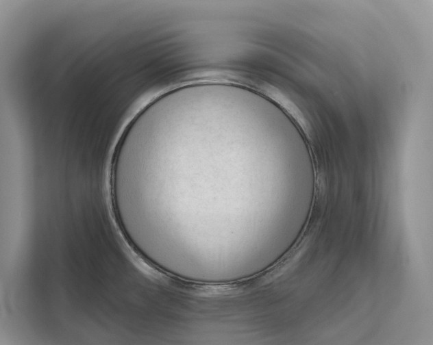 X0000111611482200908071321