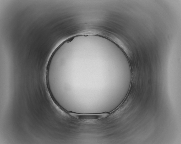 X0000111611484200908071321