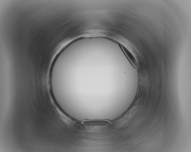 X0000111611485200908071321