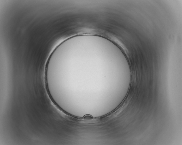 X0000111611487200908071321