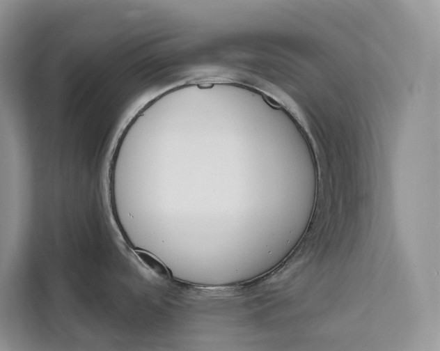 X0000111611488200908071321