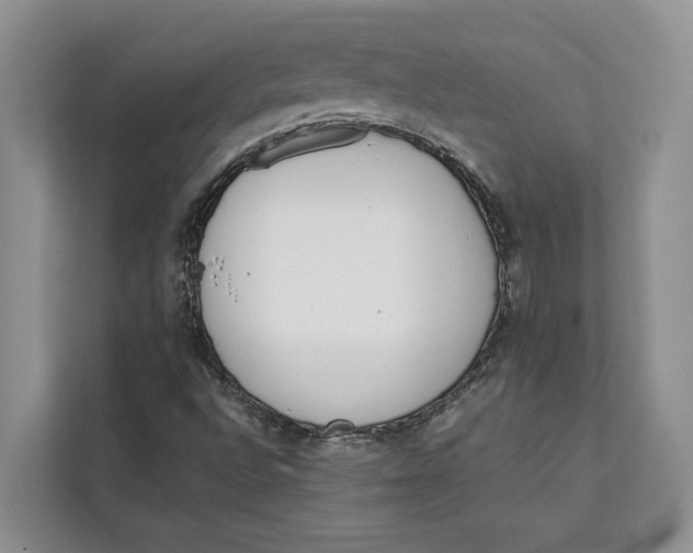 X0000111611496200908071320