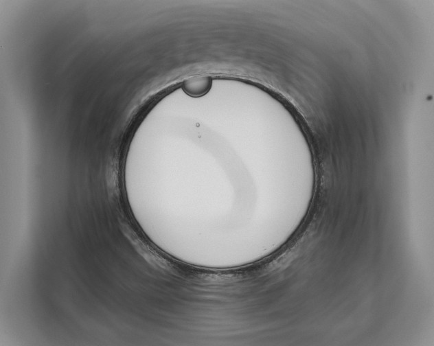 X0000111611499200908071320