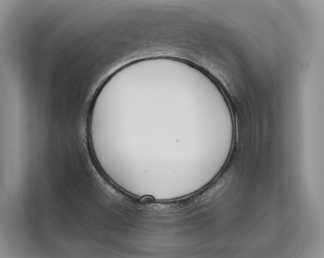 X0000111611500200908071320