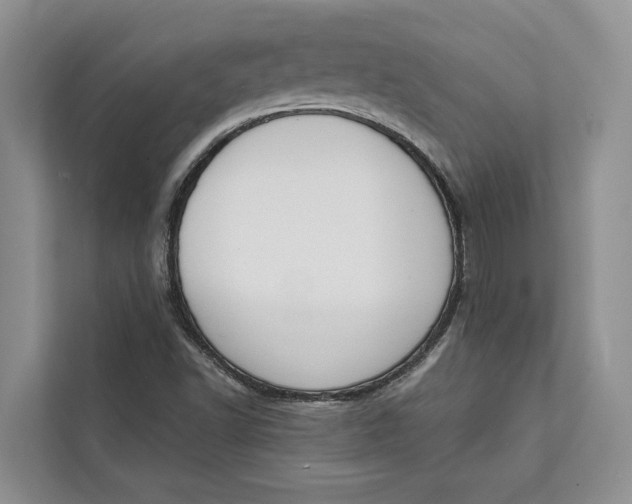 X0000111611502200908071320