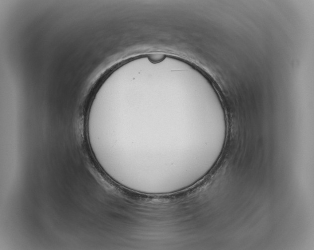 X0000111611503200908071320