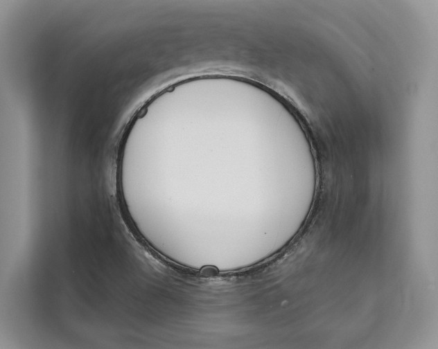 X0000111611504200908071320