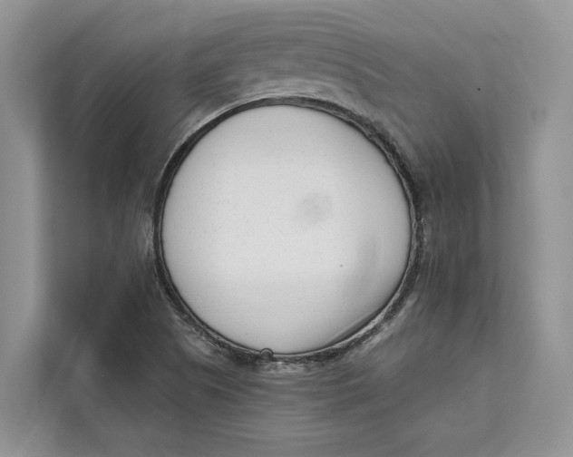 X0000111611505200908071320