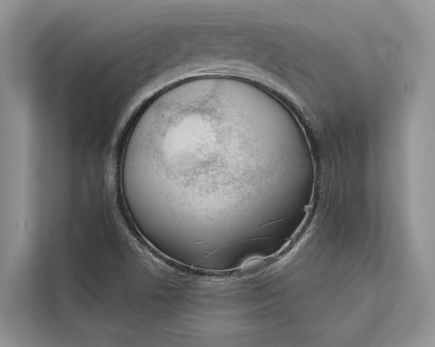 X0000111611506200908071320