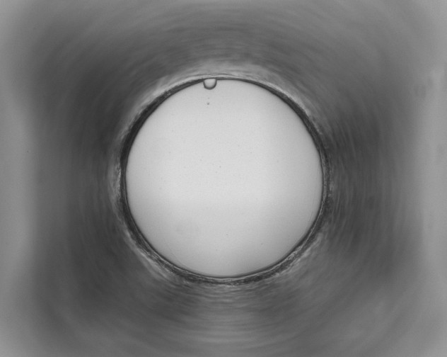 X0000111611507200908071320