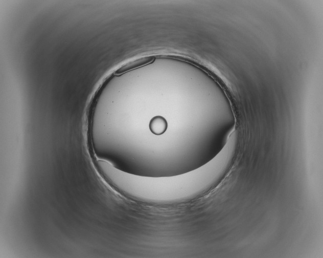 X0000111611508200908071320