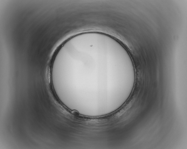 X0000111611510200908071320