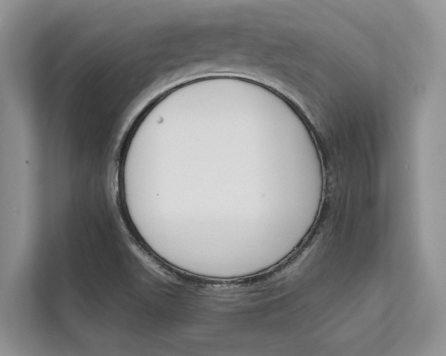 X0000111611511200908071320