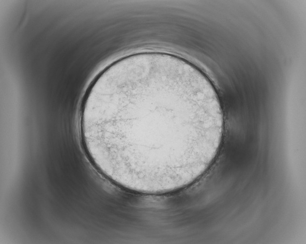 X0000111611514200908071320