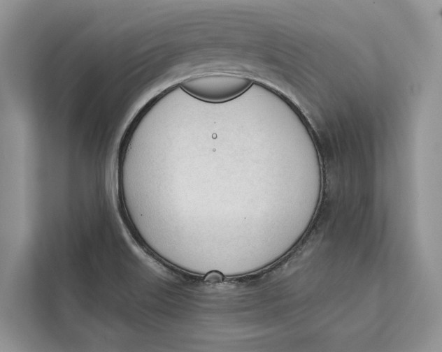 X0000111611515200908071320